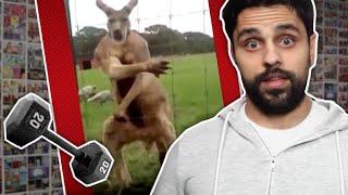 Metro số 1 Bến Thành - Suối Tiên: Chuẩn bị vận hành thương mại